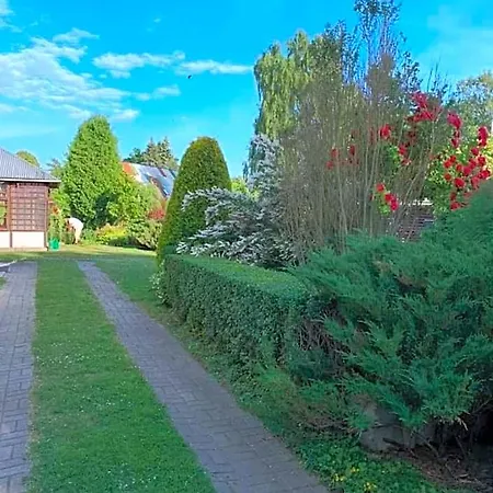 Jaani Сasa de vacaciones Pärnu